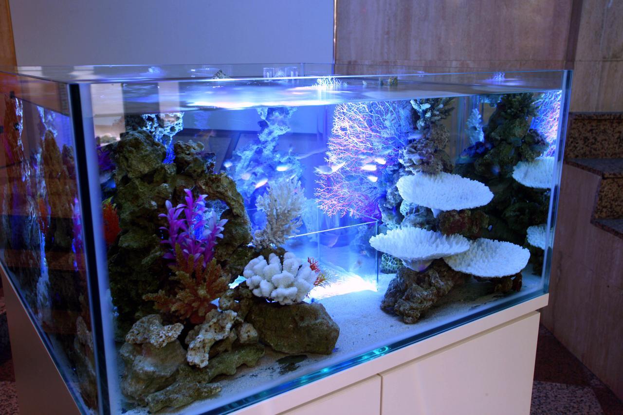 Hotel Aqua Blue Yokosuka (Adults Only) Exterior foto